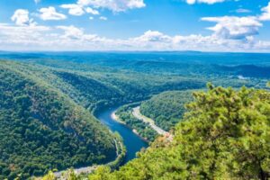 Gap Year Stories: Growth Through Exploration