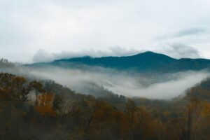 Great Smoky Mountains National Park Guide: Top Attractions and Seasons